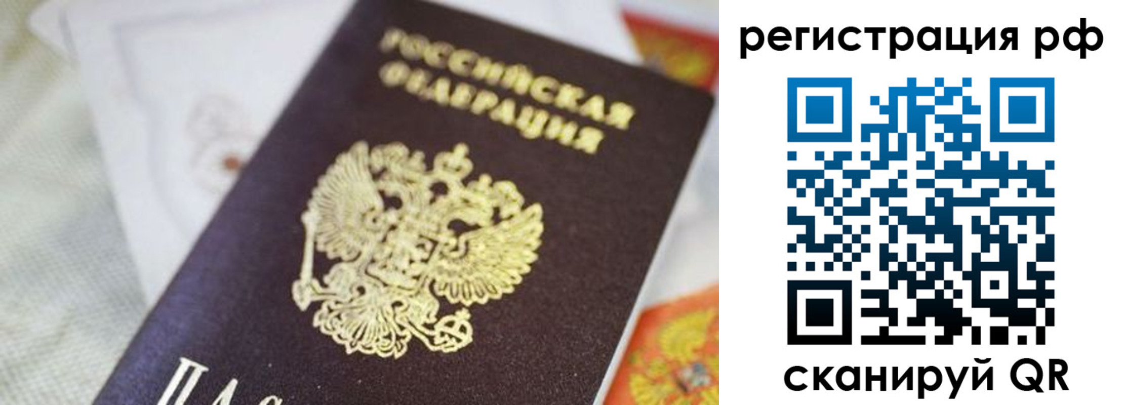 прописка гарантия в Карасуке